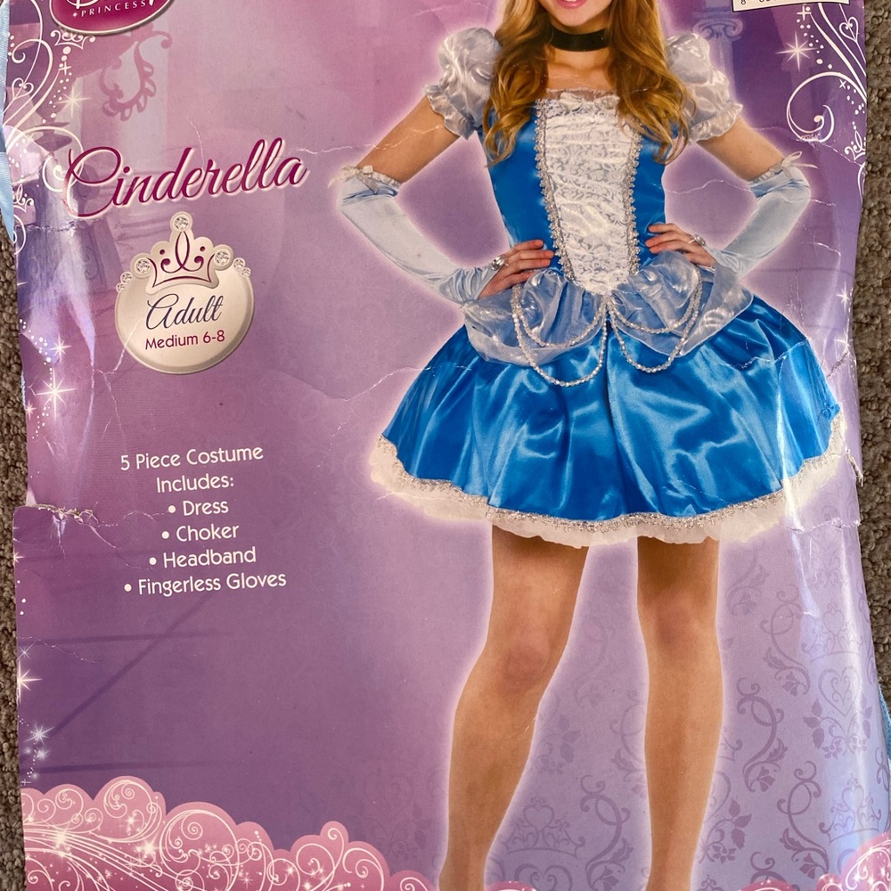 Cinderella Women’s Costume - Blue and White